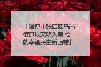 淄博市张店区马尚街道以文明为笔 绘就幸福民生新画卷