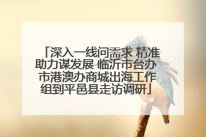 深入一线问需求 精准助力谋发展 临沂市台办 市港澳办商城出海工作组到平邑县走访调研