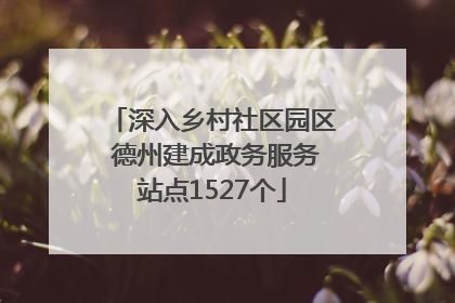 深入乡村社区园区 德州建成政务服务站点1527个