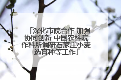 深化市院合作 加强协同创新 中国农科院作科所调研石家庄小麦选育种等工作