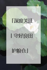 深度关注丨守好良田护粮仓
