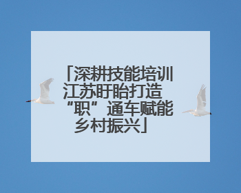 深耕技能培训 江苏盱眙打造“职”通车赋能乡村振兴