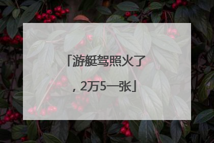 游艇驾照火了，2万5一张