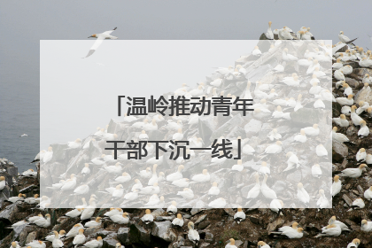 温岭推动青年干部下沉一线