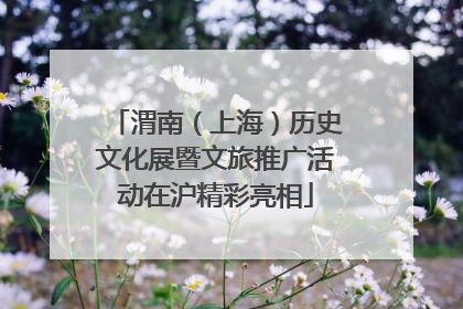 渭南（上海）历史文化展暨文旅推广活动在沪精彩亮相