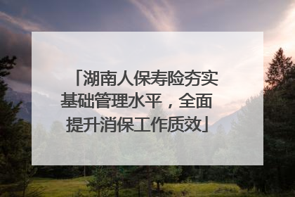 湖南人保寿险夯实基础管理水平，全面提升消保工作质效