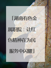 湖南有色金属职院：让红色精神在为民服务中闪耀