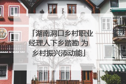 湖南洞口乡村职业经理人下乡踏勘 为乡村振兴添动能
