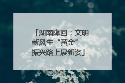 湖南隆回：文明新风生“黄金” 振兴路上展新姿