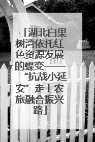 湖北白果树湾依托红色资源发展的蝶变——“抗战小延安”走上农旅融合振兴路