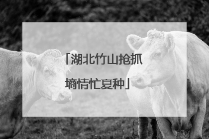 湖北竹山抢抓墒情忙夏种