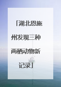 湖北恩施州发现三种两栖动物新记录