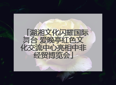 湖湘文化闪耀国际舞台 爱晚亭红色文化交流中心亮相中非经贸博览会