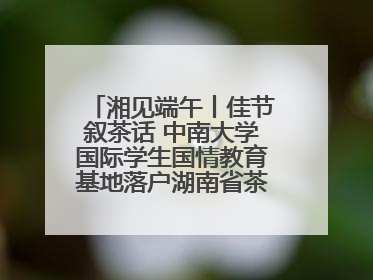 湘见端午丨佳节叙茶话 中南大学国际学生国情教育基地落户湖南省茶叶博物馆