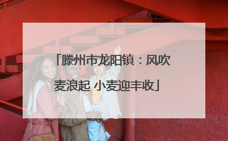 滕州市龙阳镇：风吹麦浪起 小麦迎丰收