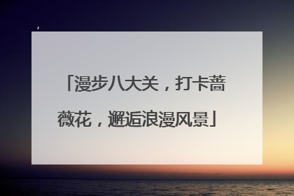 漫步八大关，打卡蔷薇花，邂逅浪漫风景