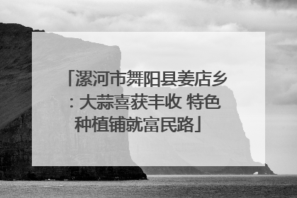 漯河市舞阳县姜店乡：大蒜喜获丰收 特色种植铺就富民路