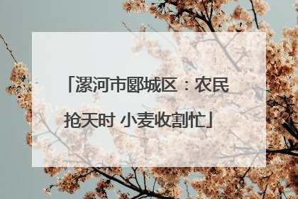 漯河市郾城区：农民抢天时 小麦收割忙