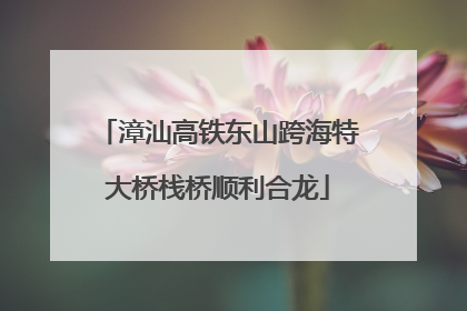 漳汕高铁东山跨海特大桥栈桥顺利合龙