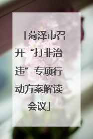 菏泽市召开“打非治违”专项行动方案解读会议