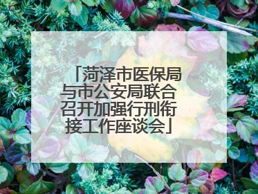 菏泽市医保局与市公安局联合召开加强行刑衔接工作座谈会