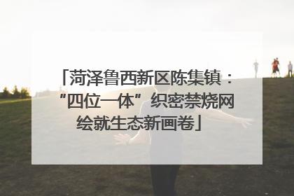 菏泽鲁西新区陈集镇：“四位一体”织密禁烧网 绘就生态新画卷