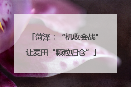 菏泽：“机收会战”让麦田“颗粒归仓”