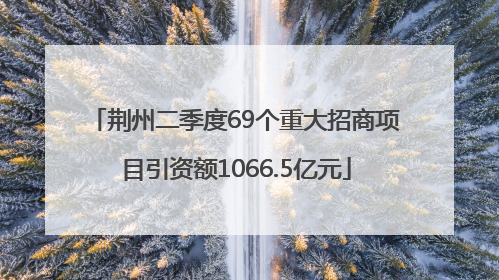 荆州二季度69个重大招商项目引资额1066.5亿元