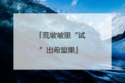 荒坡坡里“试”出希望果