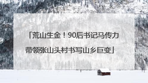 荒山生金！90后书记马传力带领张山头村书写山乡巨变