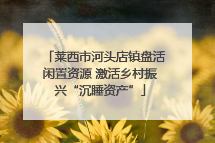 莱西市河头店镇盘活闲置资源 激活乡村振兴“沉睡资产”