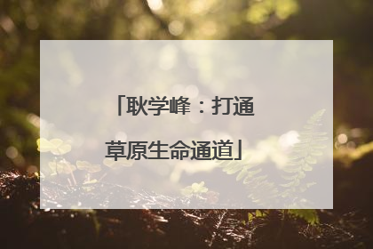 耿学峰：打通草原生命通道