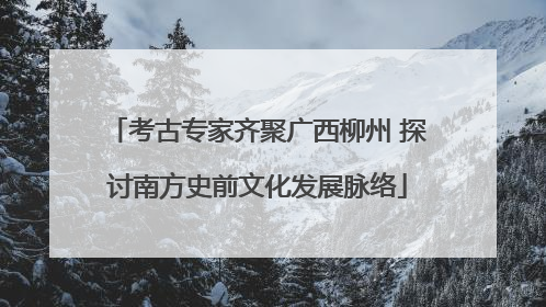 考古专家齐聚广西柳州 探讨南方史前文化发展脉络