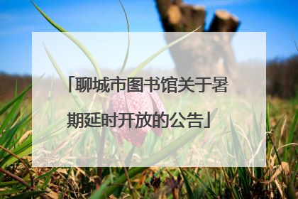 聊城市图书馆关于暑期延时开放的公告