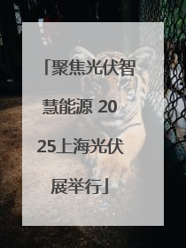 聚焦光伏智慧能源 2025上海光伏展举行