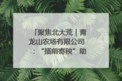 聚焦北大荒｜青龙山农场有限公司：“插前寄秧”助力农业节本增效