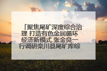 聚焦尾矿深度综合治理 打造有色金属循环经济新模式 张金良一行调研栾川县尾矿库综合治理工作