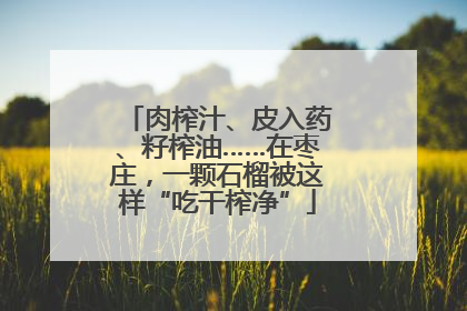 肉榨汁、皮入药、籽榨油……在枣庄，一颗石榴被这样“吃干榨净”