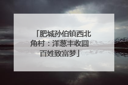肥城孙伯镇西北角村：洋葱丰收圆百姓致富梦