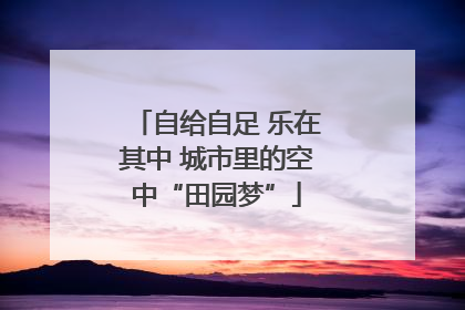自给自足 乐在其中 城市里的空中“田园梦”