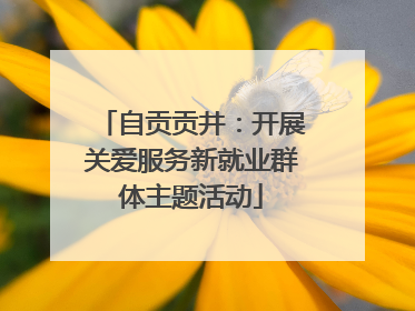 自贡贡井：开展关爱服务新就业群体主题活动