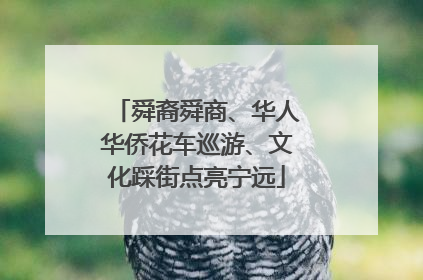 舜裔舜商、华人华侨花车巡游、文化踩街点亮宁远
