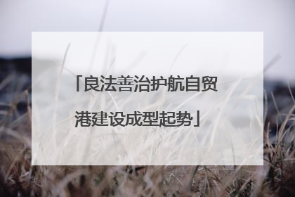 良法善治护航自贸港建设成型起势