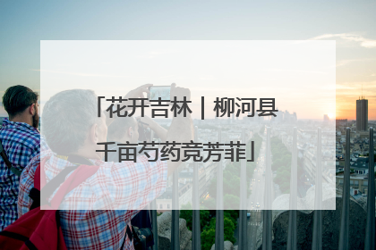 花开吉林｜柳河县千亩芍药竞芳菲