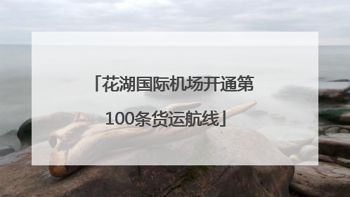 花湖国际机场开通第100条货运航线