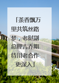 茶香飘万里共筑丝路梦，老挝副总理吉乔期待川老合作更深入