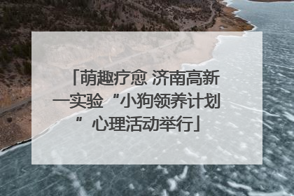 萌趣疗愈 济南高新一实验“小狗领养计划”心理活动举行