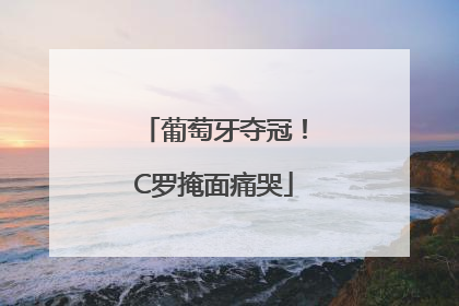 葡萄牙夺冠！C罗掩面痛哭