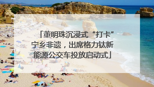 董明珠沉浸式“打卡”宁乡非遗，出席格力钛新能源公交车投放启动式