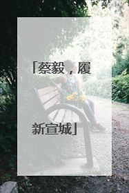 蔡毅，履新宣城